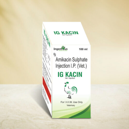 IG kacin