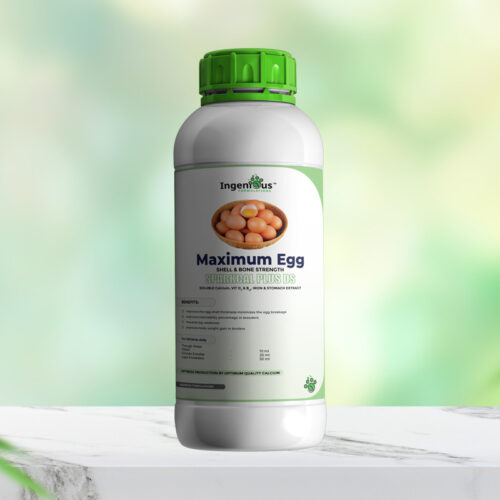 Sparkcal Plus DS